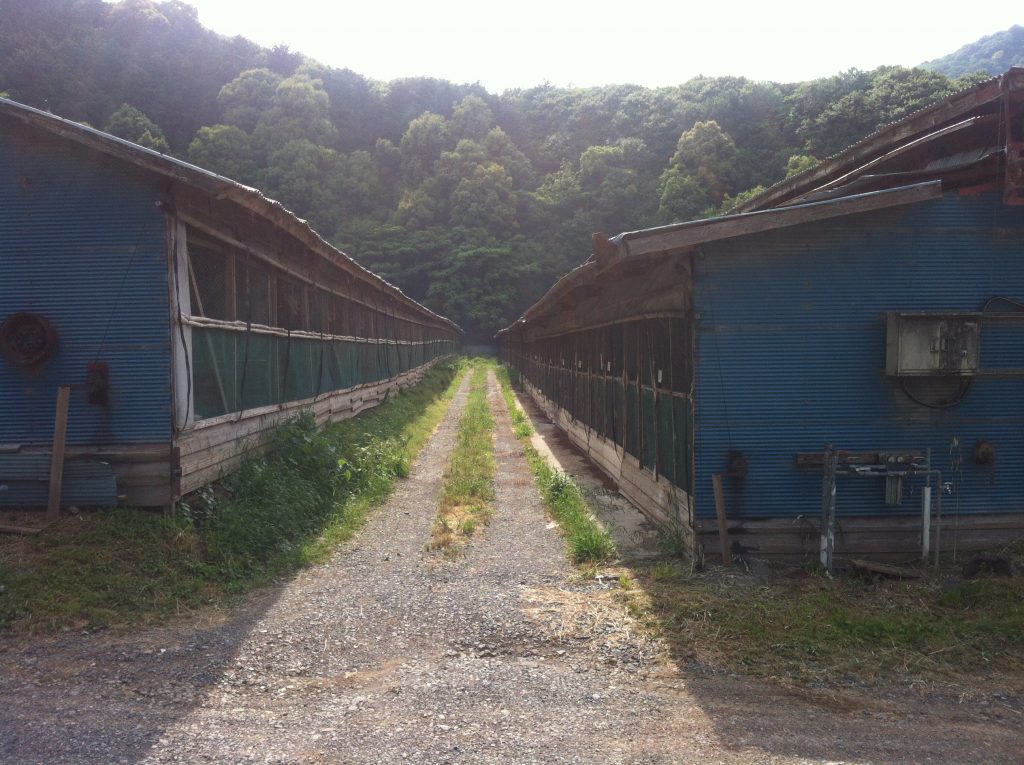 Yamagishi-san's trademark henhouses